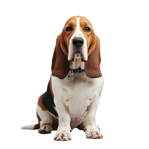 Fred the Dog - Your Design Sprint Companion